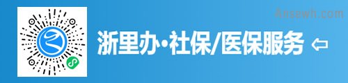 浙里办·浙江社保/医保服务（小程序）